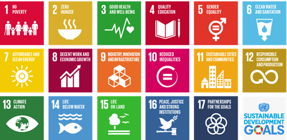 Sustainable Development Goals launch in 2016