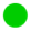 Harvey Balls 100% with solid fill