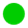 Harvey Balls 100% with solid fill