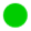 Harvey Balls 100% with solid fill