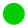 Harvey Balls 100% with solid fill